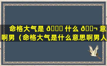 命格大气是 💐 什么 🐬 意思啊男（命格大气是什么意思啊男人）